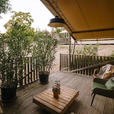 Agriturismo Angeli Sognanti - Safaritent * Cossignano